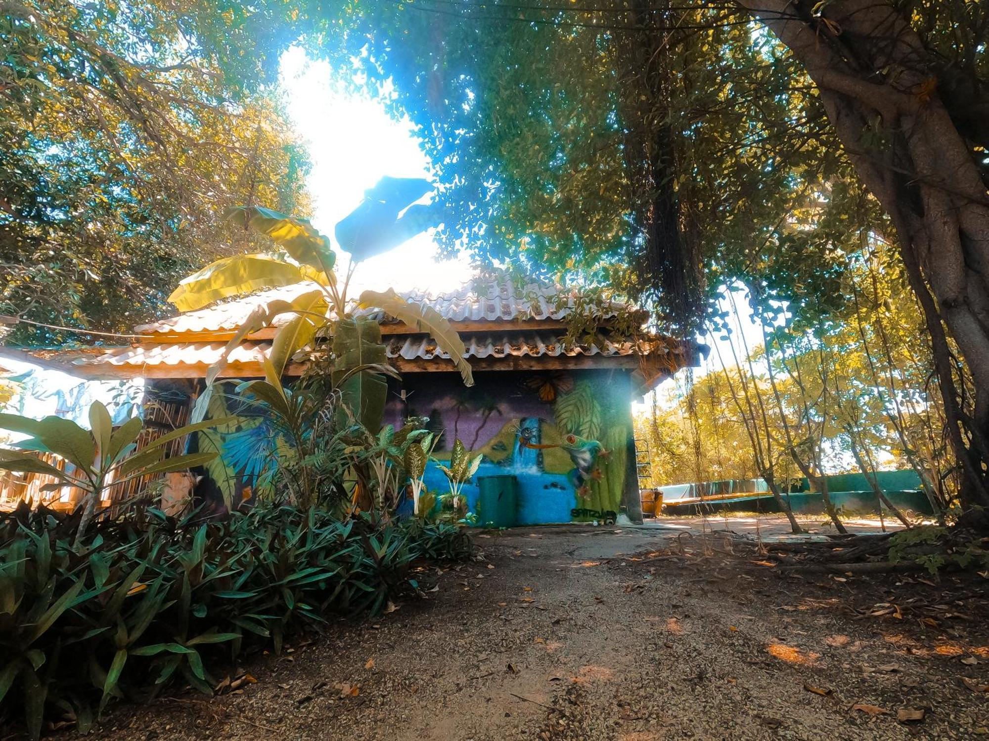 Moov Inn Garden Hostel Koh Tao Exteriör bild